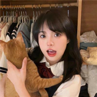 当猪起飞